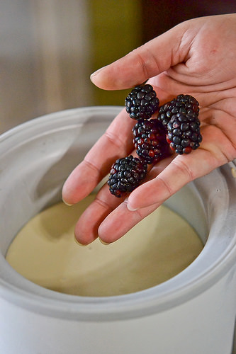 Blackberry Wine Ice Cream-8