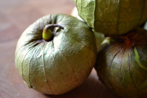 Zucchini and Corn Tortitas