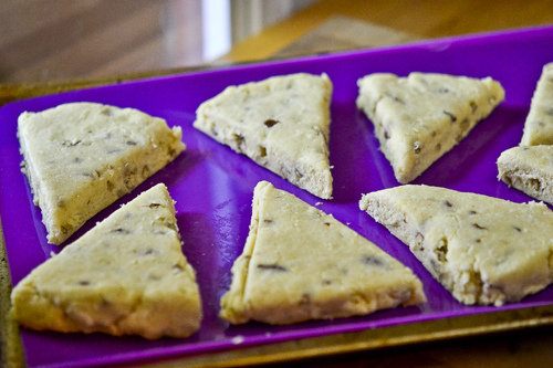 Maple Pecan Scones 9