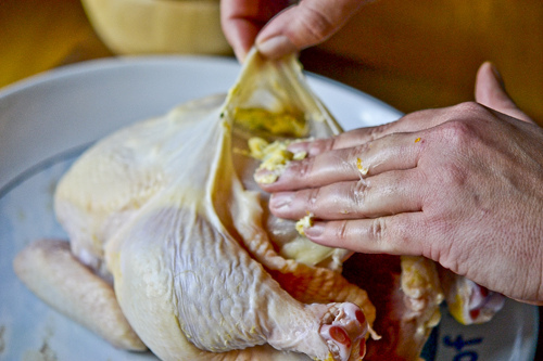 Garlic Butter-Rubbed Roast Chicken with Oranges & Red Onions 15