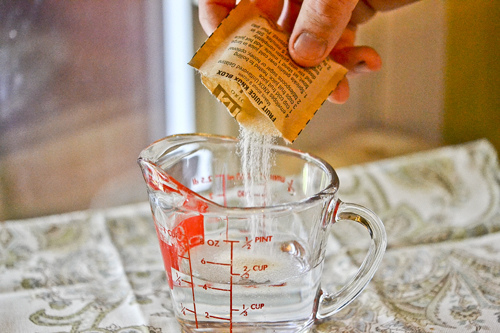 Panna Cotta with Cherry Compote 13