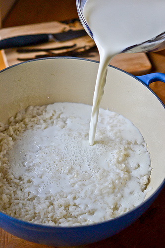 Vanilla Bean Rice Pudding-4