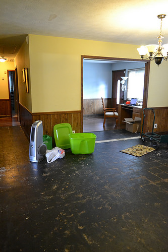 2015 Kitchen & Living Reno