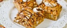 Salted Pretzel-Marshmallow Bars