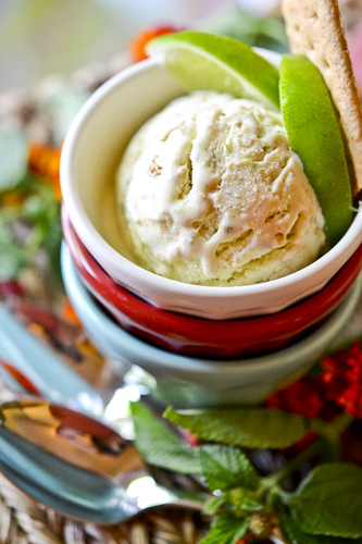 7243246782_919f9aa506_o