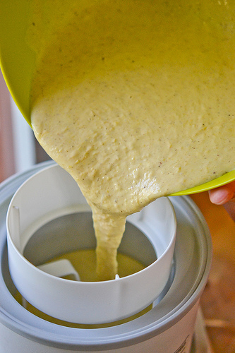 Pumpkin Frozen Yogurt-5