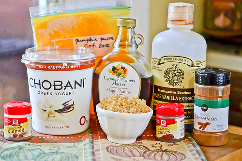 Pumpkin Frozen Yogurt-1