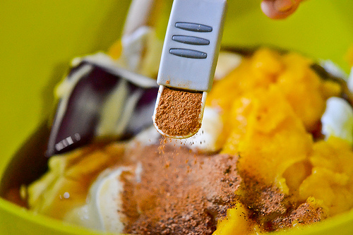 Pumpkin Frozen Yogurt-3