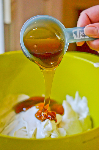 Pumpkin Frozen Yogurt-2