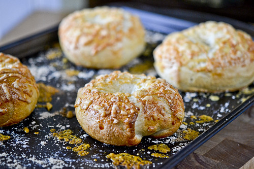 Asiago Bagels 11