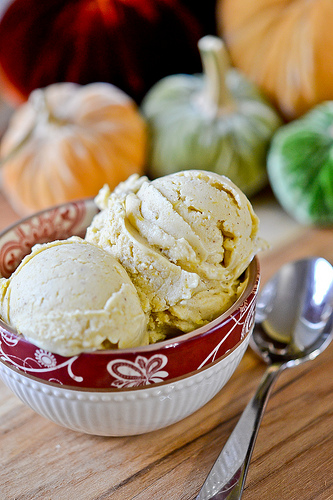 Pumpkin Frozen Yogurt-7