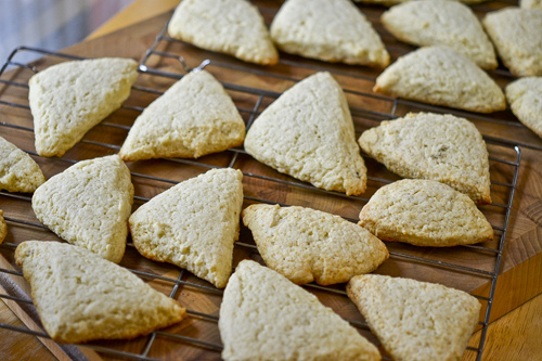 Vanilla Scones 16